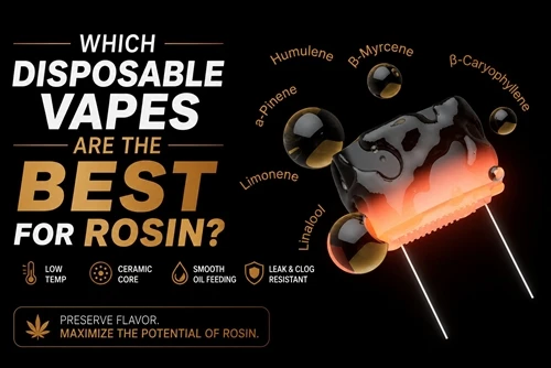 Hvaða einnota vapes eru bestar fyrir rósín?